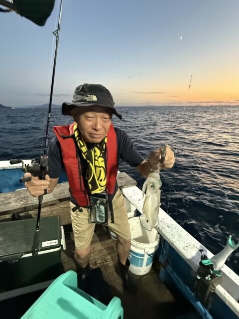 マイカ(ケンサキイカ)