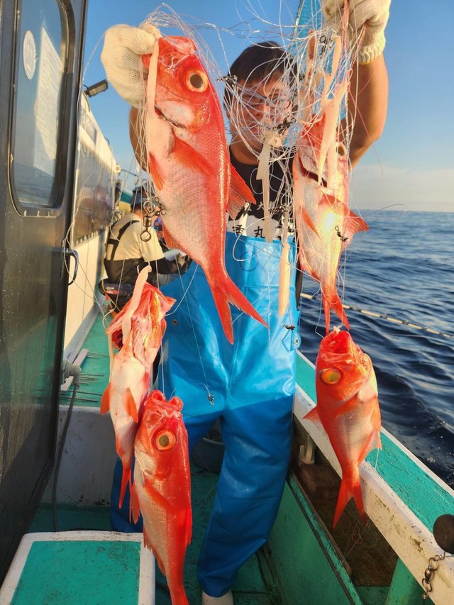 キンメ(キンメダイ)