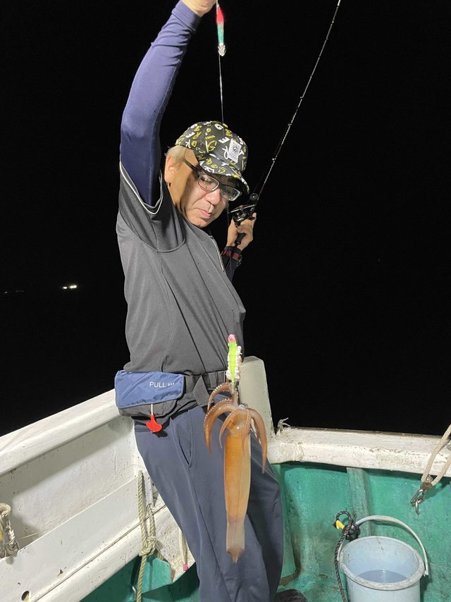 スルメ(スルメイカ)