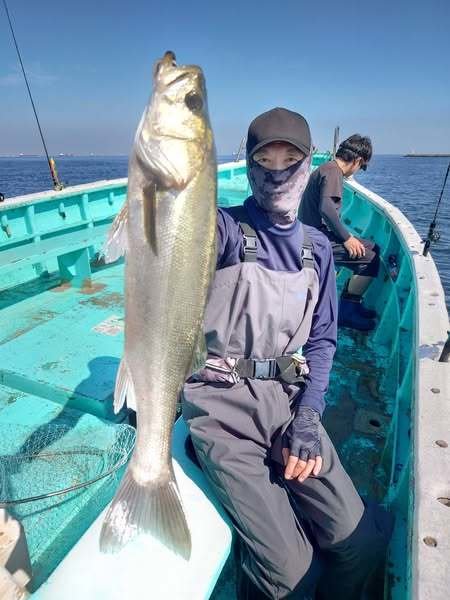 シーバス(スズキ)