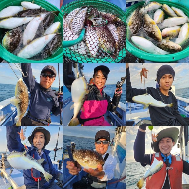 ショウサイフグ