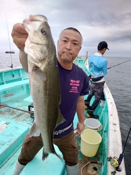 シーバス(スズキ)