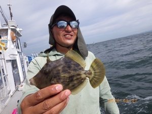 カワハギ