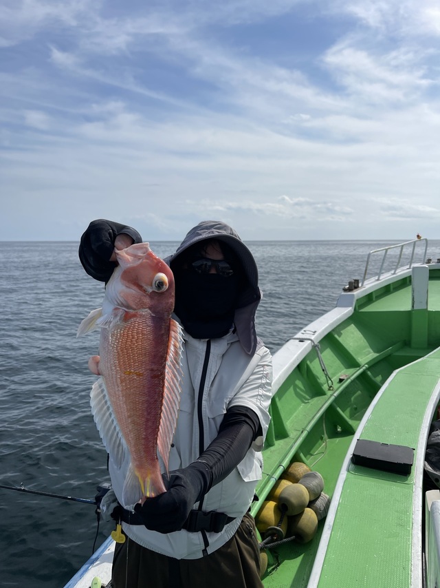 アマダイ(アカアマダイ)