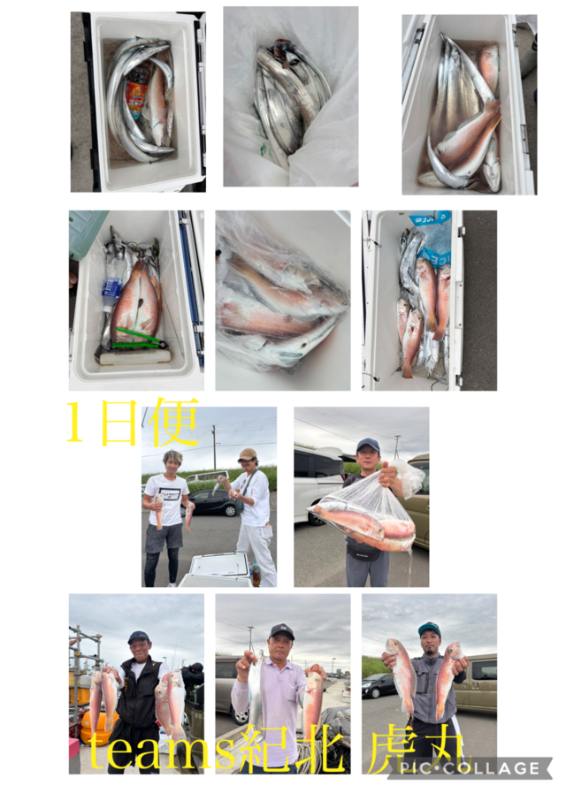 シロアマダイ・タチウオ