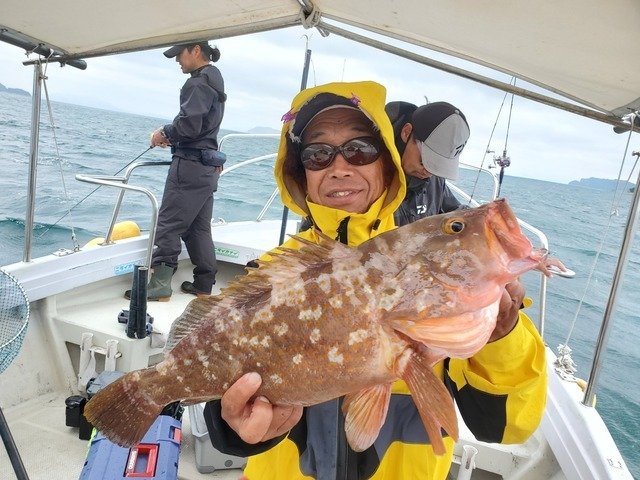 アコウ(キジハタ)