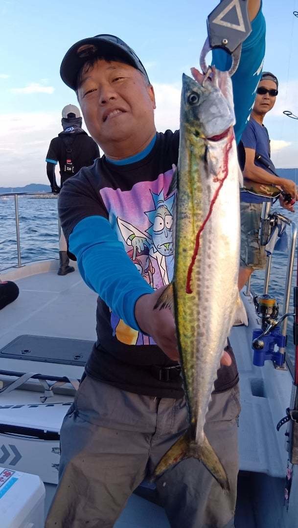 サゴシ(サワラ)