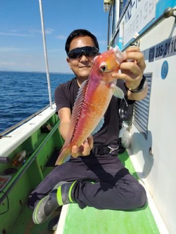 アマダイ(アカアマダイ)