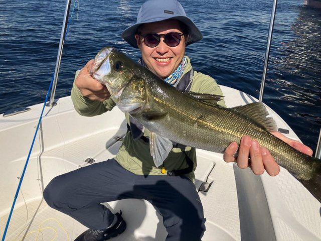 シーバス(スズキ)