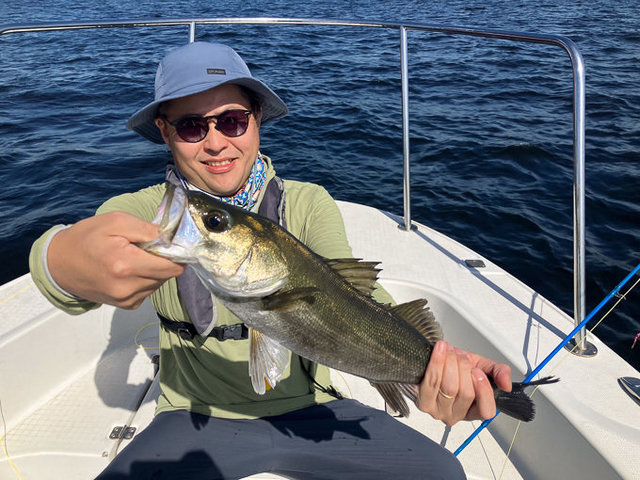 シーバス(スズキ)