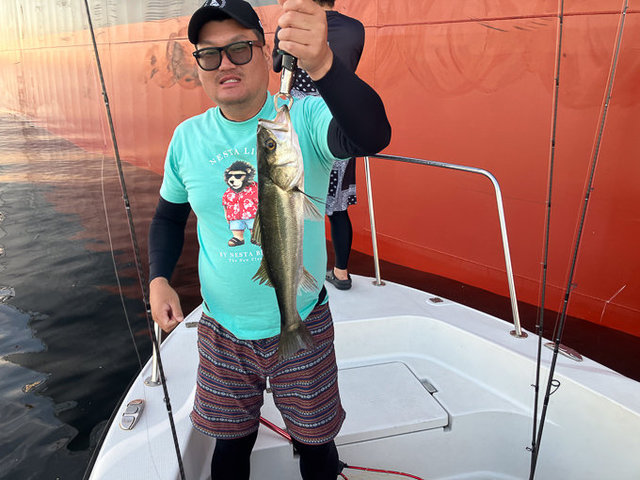 シーバス(スズキ)