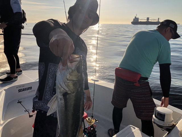 シーバス(スズキ)