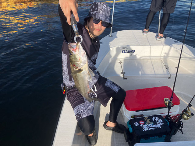 シーバス(スズキ)