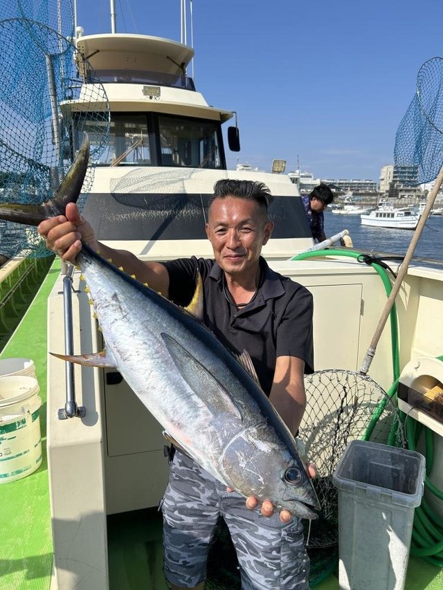 キメジ(キハダ)