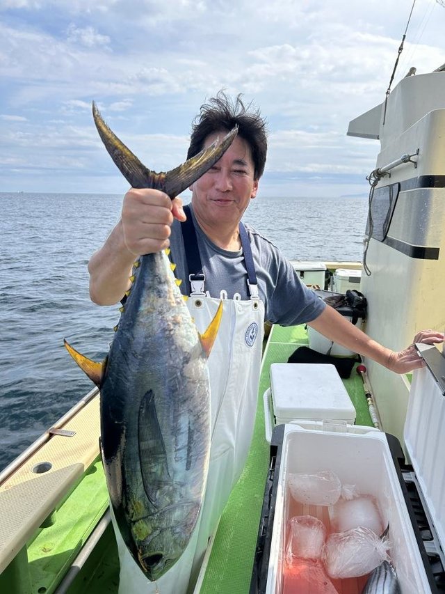 キメジ(キハダ)