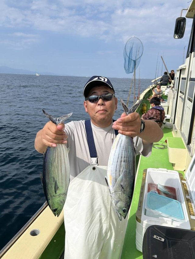 ホンガツオ(カツオ)