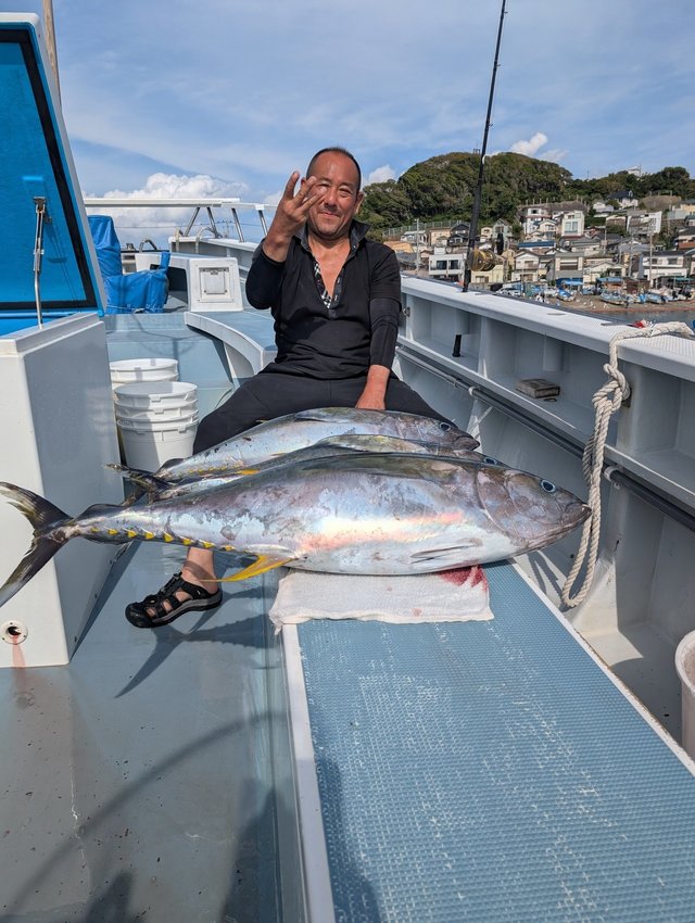 キメジ(キハダ)