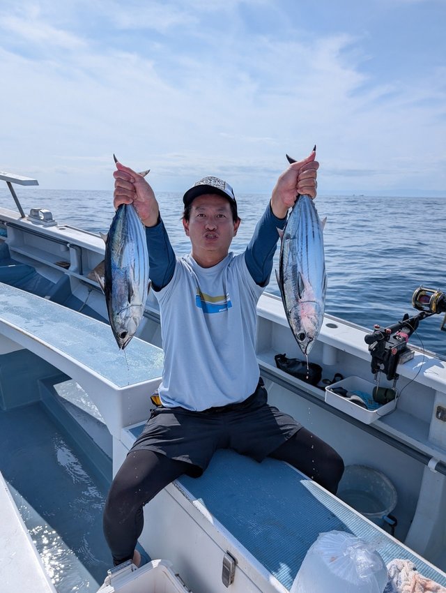 ホンガツオ(カツオ)