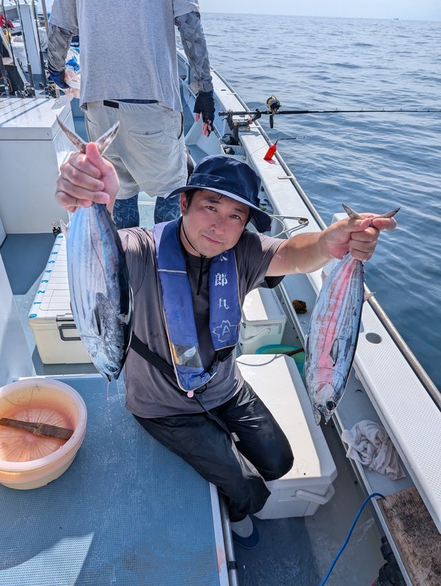 ホンガツオ(カツオ)