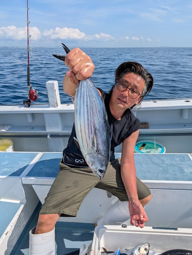 ホンガツオ(カツオ)