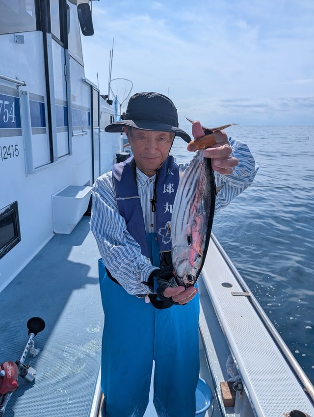 ホンガツオ(カツオ)