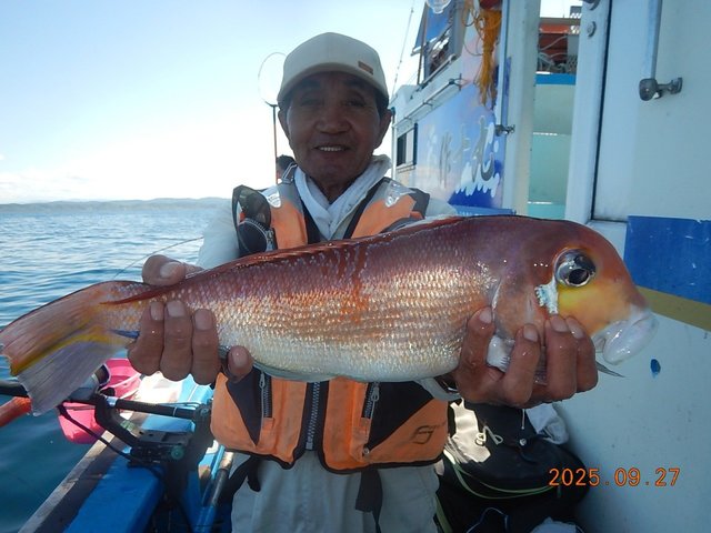 アマダイ(アカアマダイ)