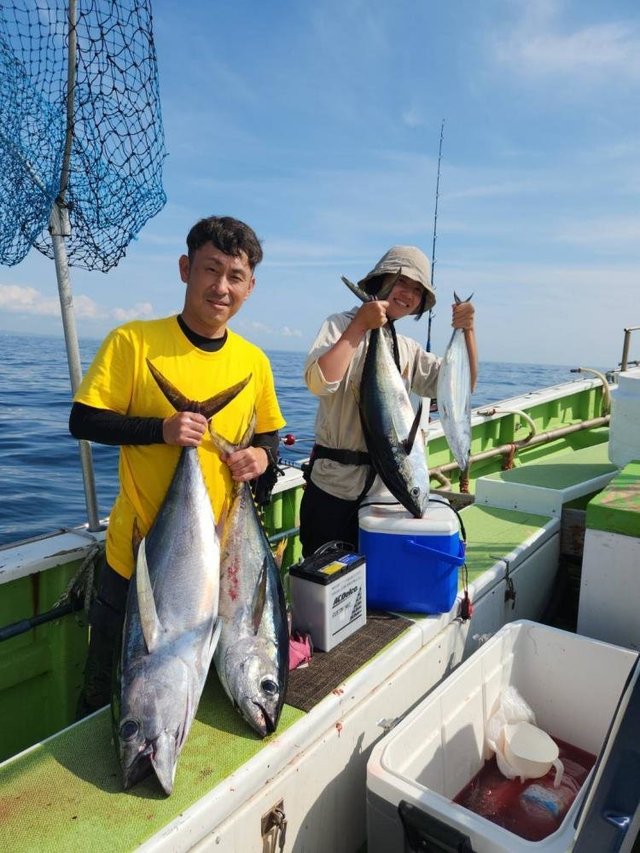 キハダ・カツオ