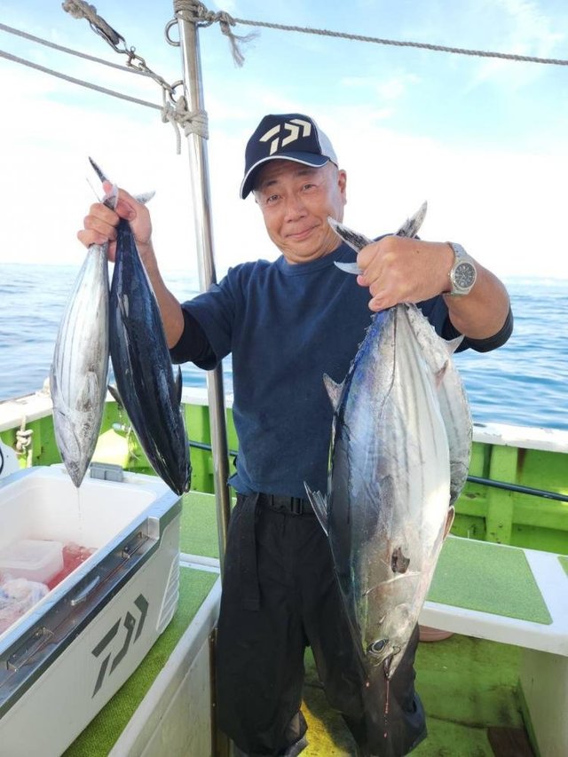 キハダ・カツオ