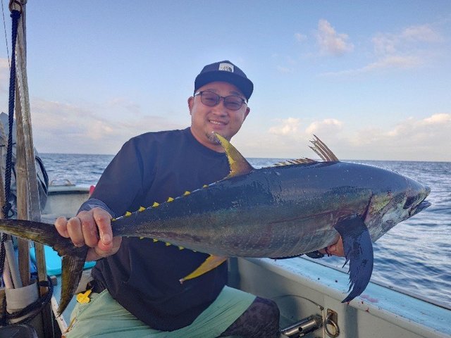 キメジ(キハダ)