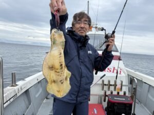 アオリ(アオリイカ)