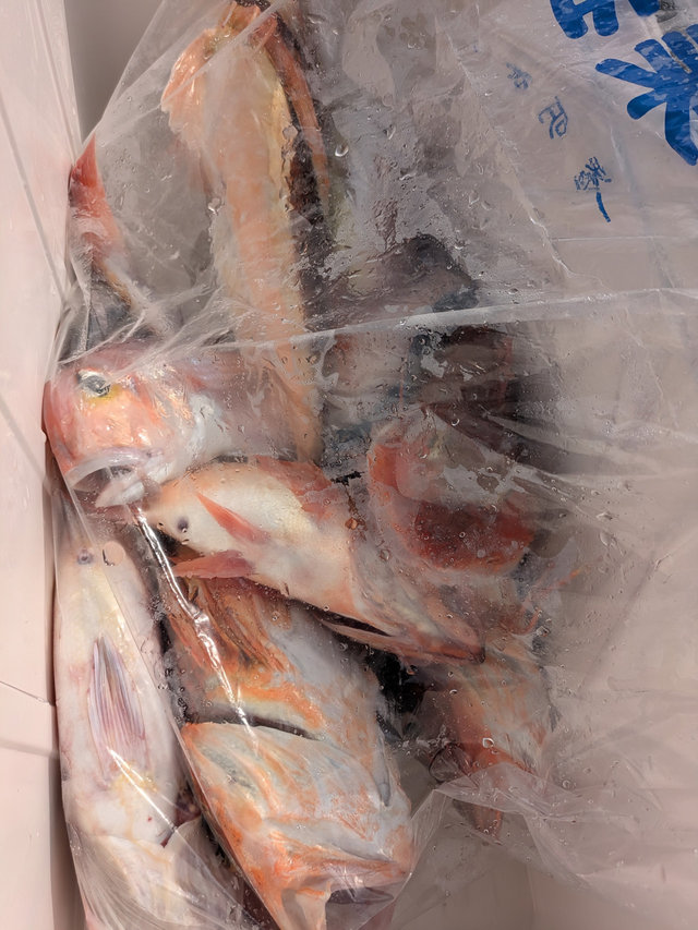 アマダイ(アカアマダイ)