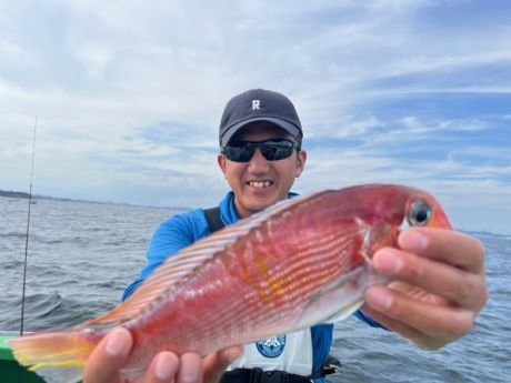 アマダイ(アカアマダイ)