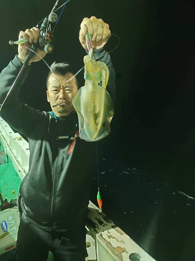 シロイカ(ケンサキイカ)