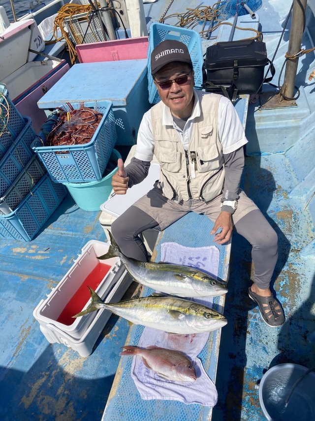 マダイ・ワラサ(ブリ)