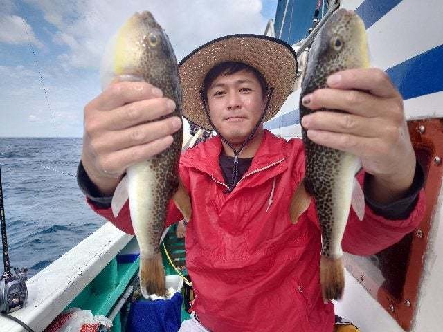 ショウサイフグ