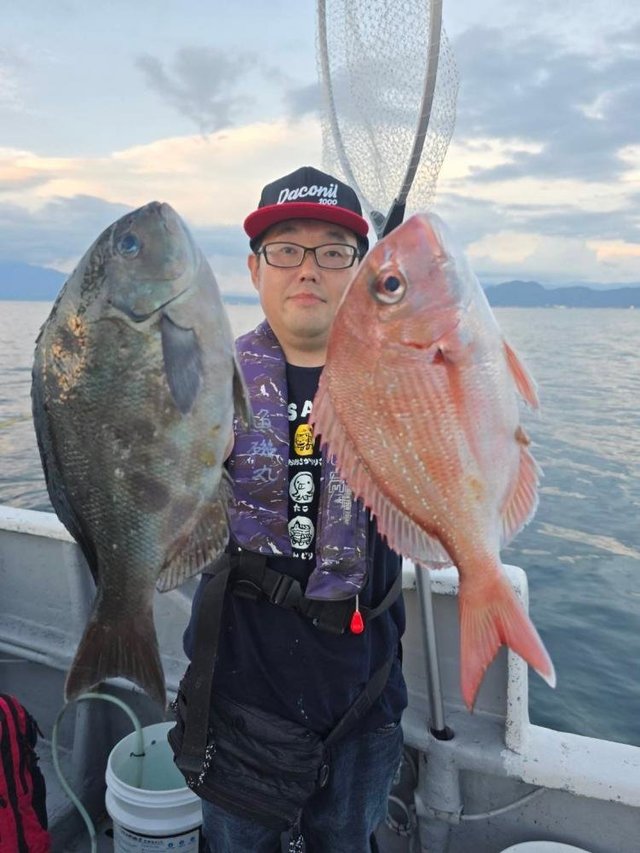 マダイ・メジナ