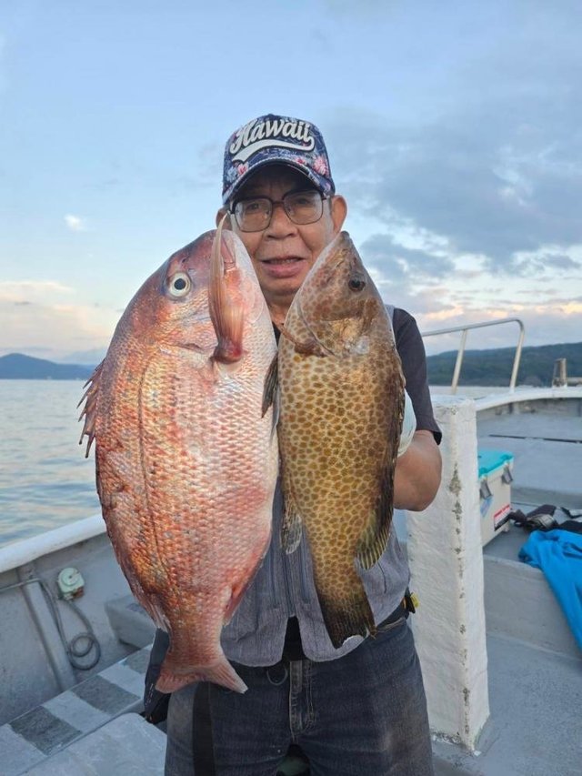 マダイ・オオモンハタ