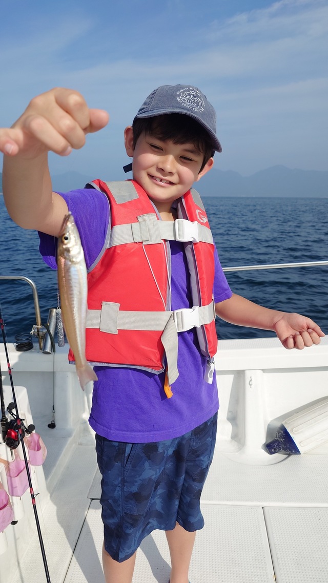 キス(シロギス)