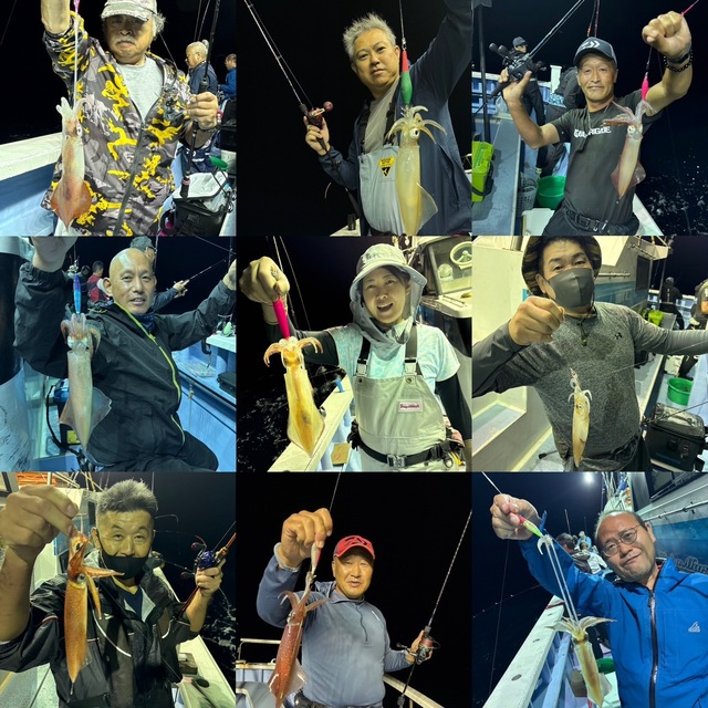 マルイカ(ケンサキイカ)