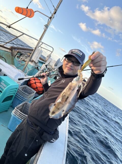 アオリ(アオリイカ)