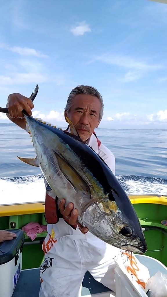 キメジ(キハダ)