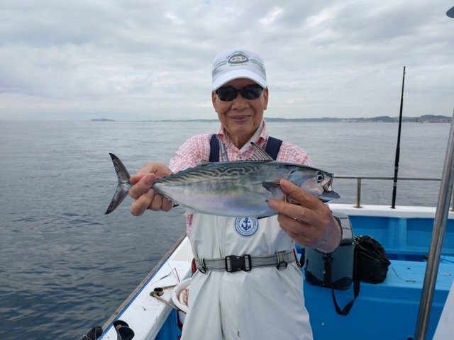 スマガツオ(スマ)