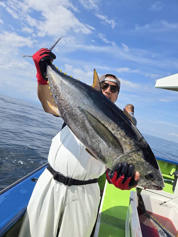 キメジ(キハダ)