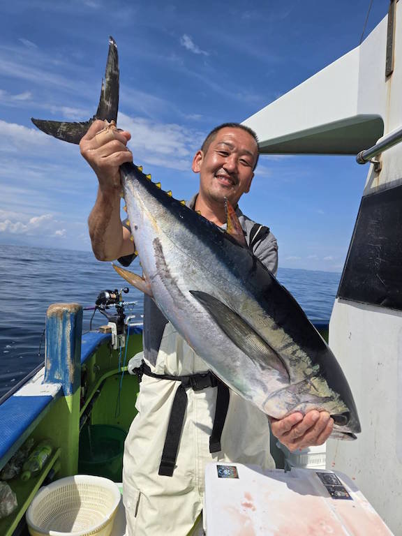 キメジ(キハダ)