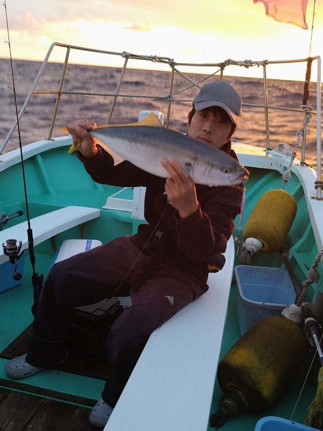 サンパク(ブリ)