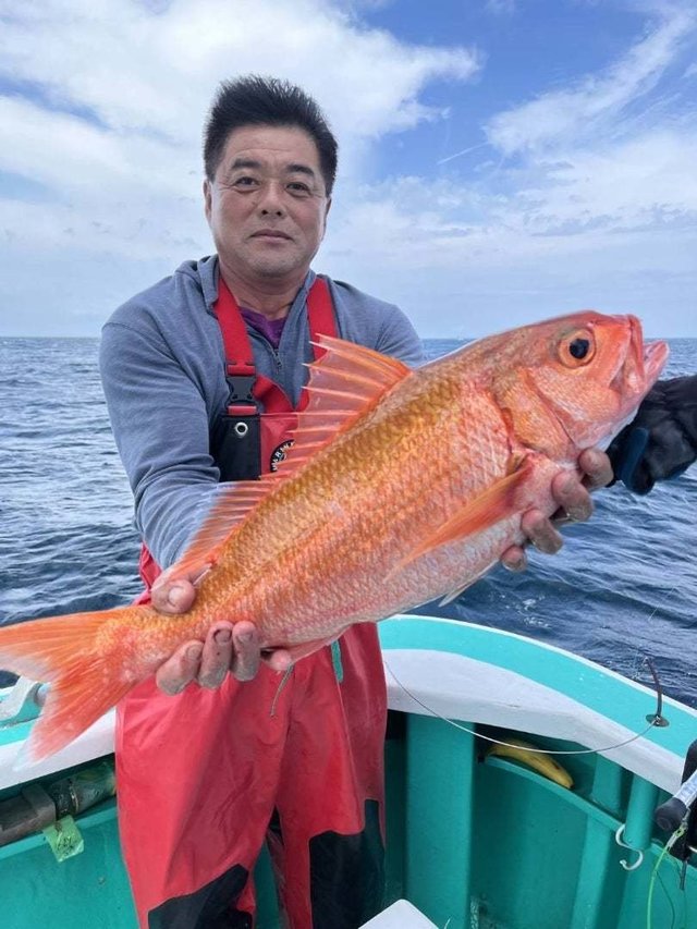 ハチジョウアカムツ