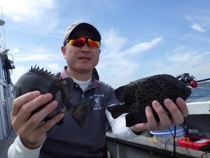 サンバソー(イシダイ)・イシガキダイ