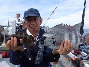 サンバソー(イシダイ)・イシガキダイ