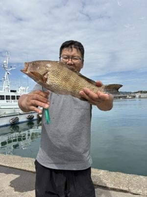 オオモンハタ