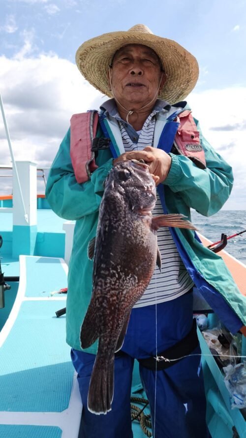 マゾイ(キツネメバル)